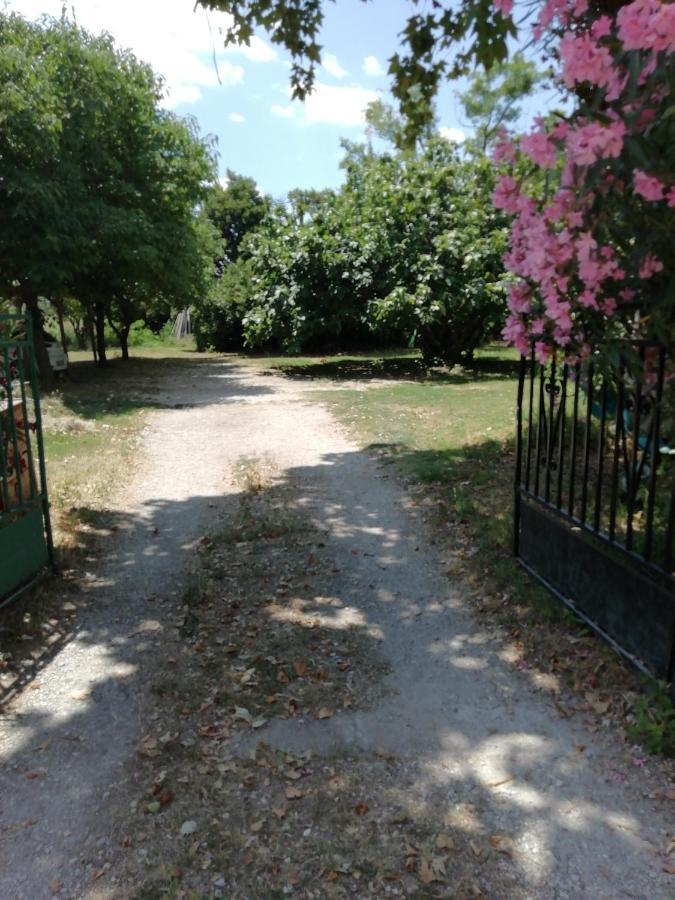 Chambre D'Hote - Mas Le Barret Arles Zewnętrze zdjęcie